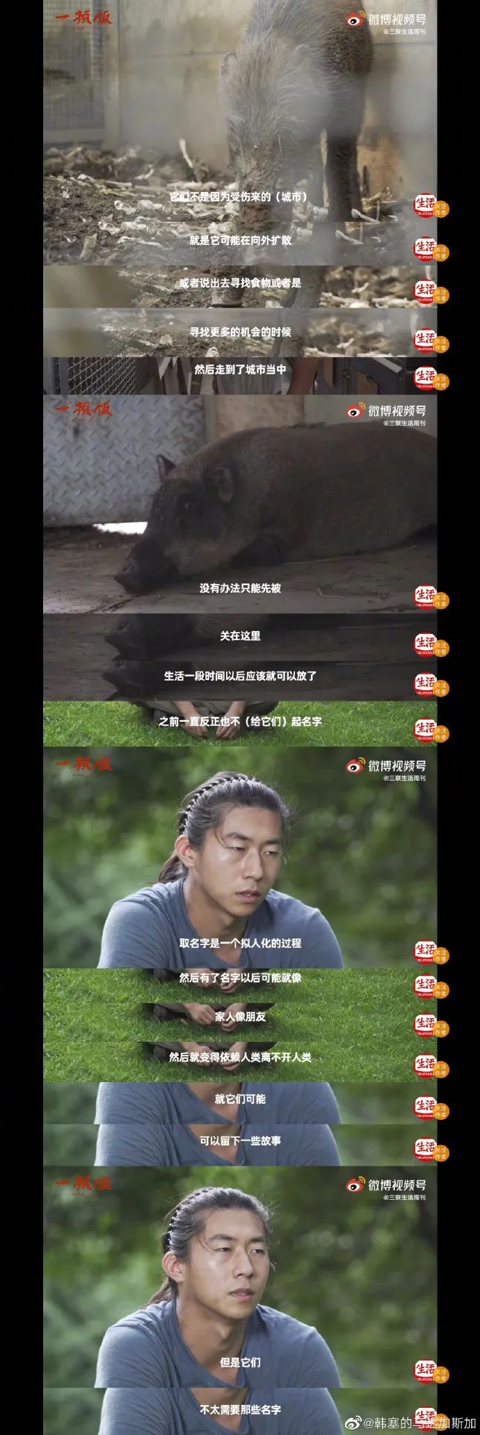 Word文档图片