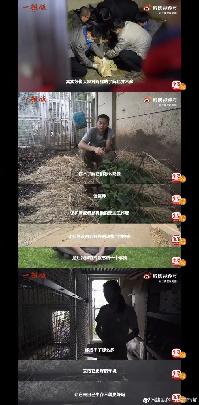 Word文档图片