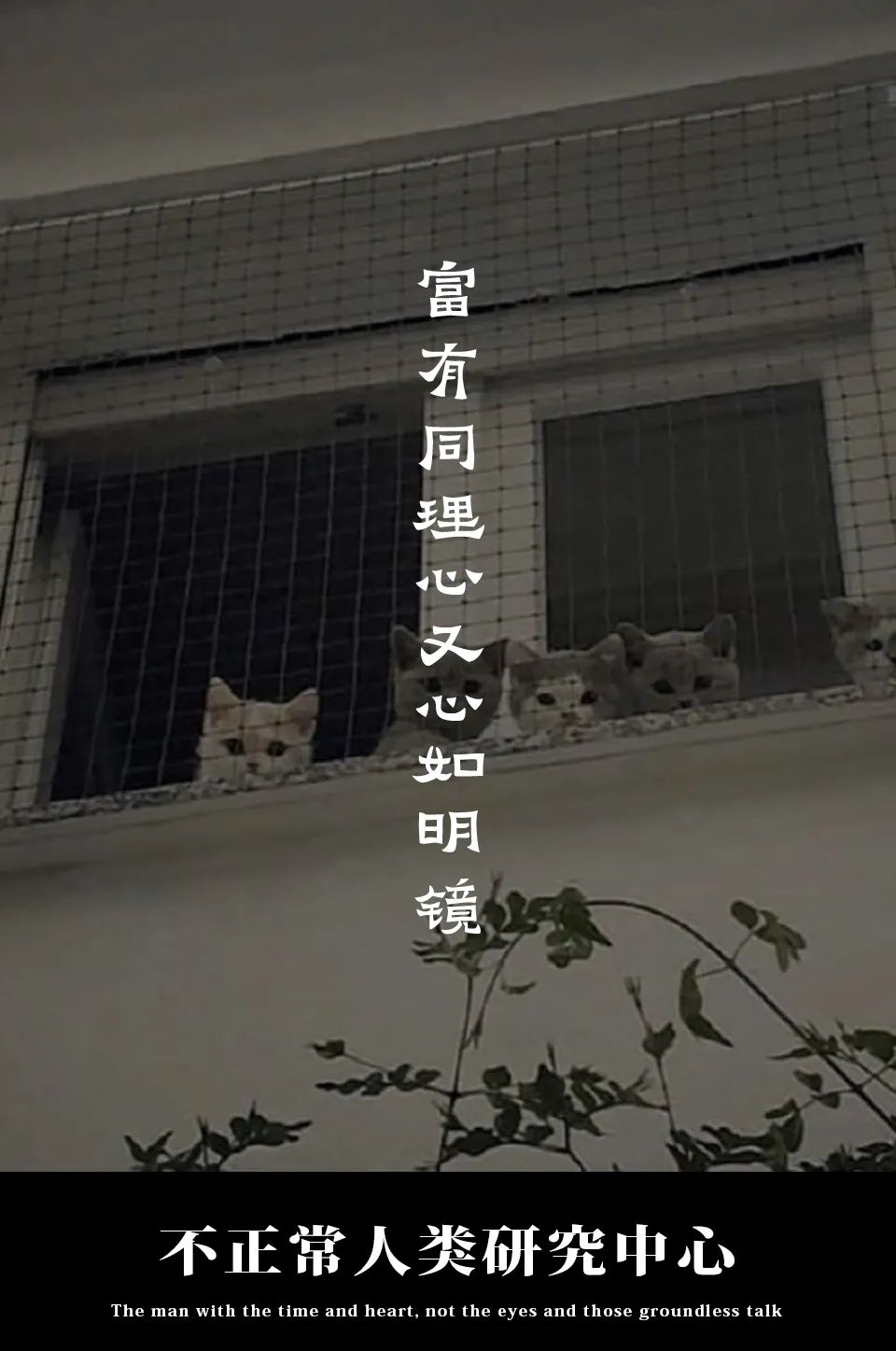 Word文档图片