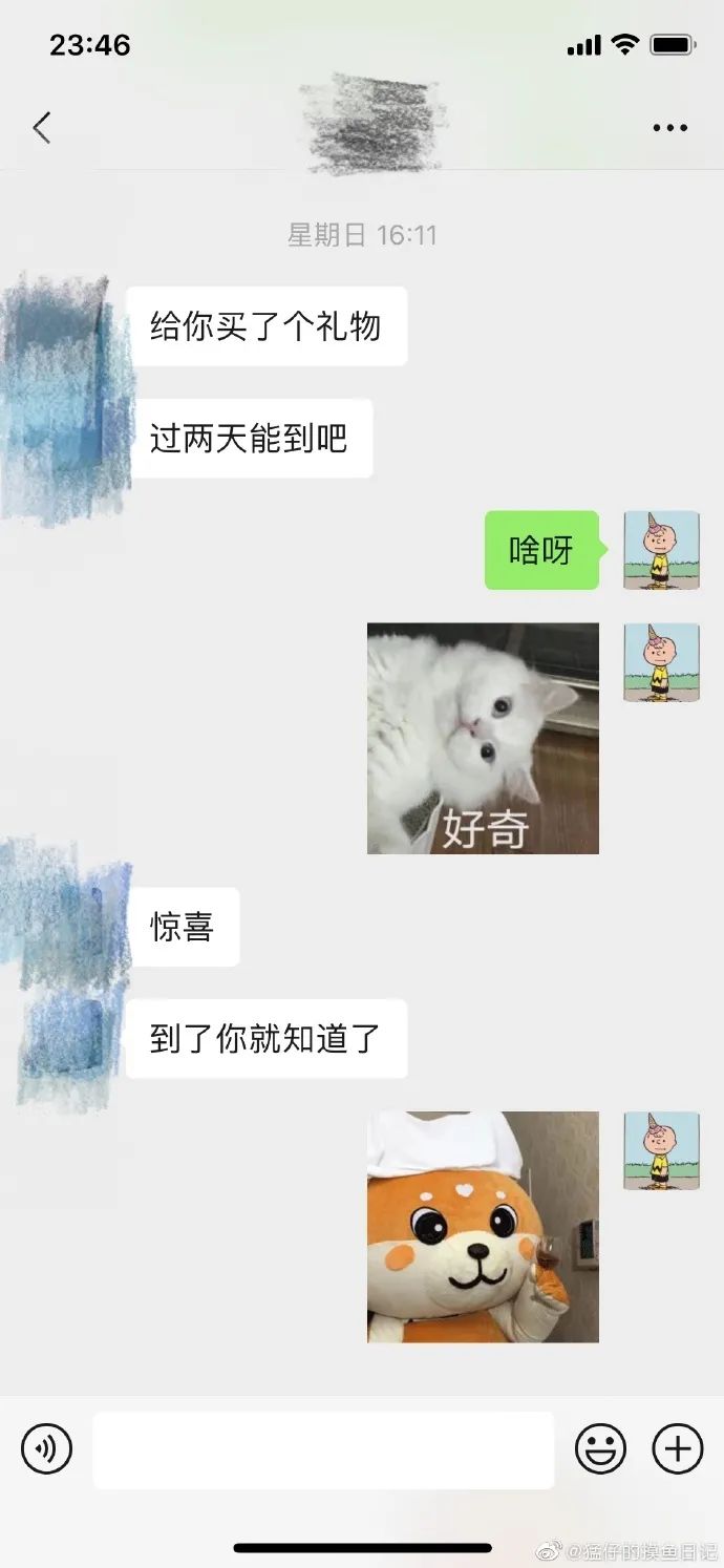 Word文档图片