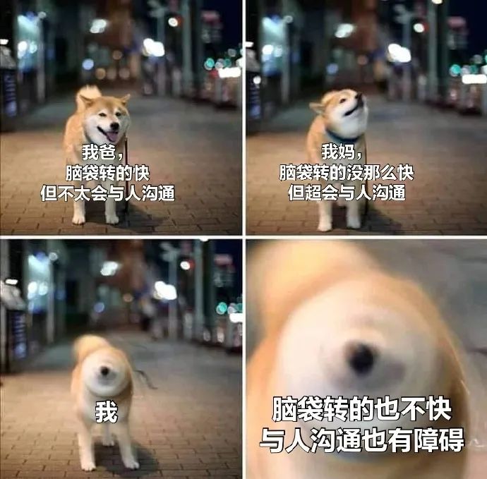Word文档图片