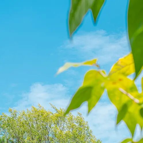 【鬼手神医】小小郎中如何引得名门千金疯狂追求？这一切和家族传下的秘宝是否相关？