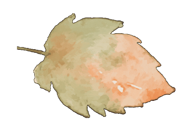 【混世医王】蒙冤入狱五年，出狱后带着超高医术和绝对武力，单条霸王沈家，只为给母亲和妹妹报仇！